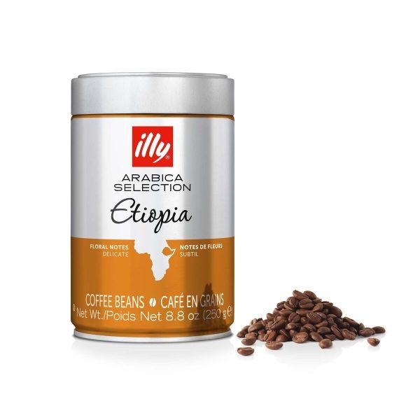 دانه قهوه ایلی اتیوپی